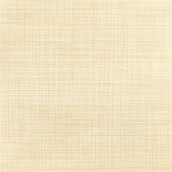 Ткань для рулонных штор на проем Benone 7858 - изображение 1 - заказать онлайн в салоне штор Benone в Орехово-Зуево